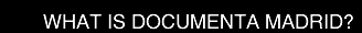 �QU� ES DOCUMENTA MADRID?