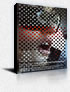 The girlfriend experience