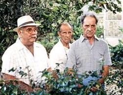 Cocoon (1985)