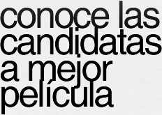 conoce las candidatas a mejor pel�cula